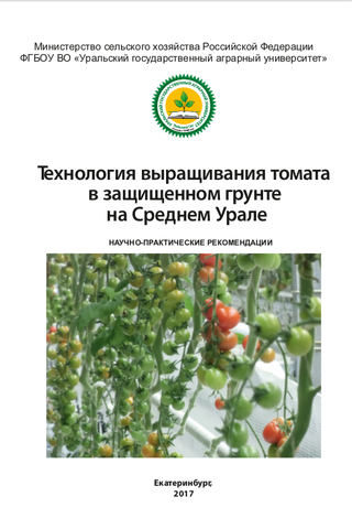                         Technology of growing tomato in protected soil in the Middle Urals
            